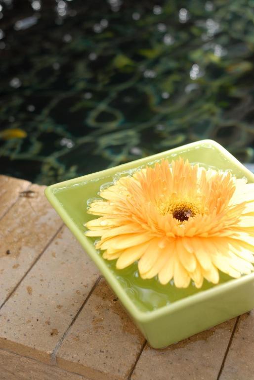 Auberge de jeunesse Baan Dinso à Bangkok Extérieur photo